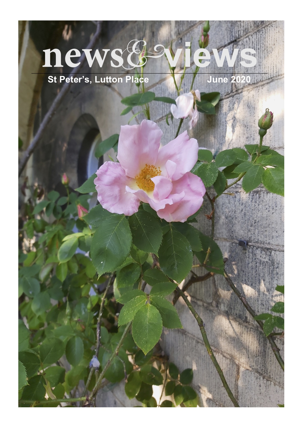 News & Views: June 2020