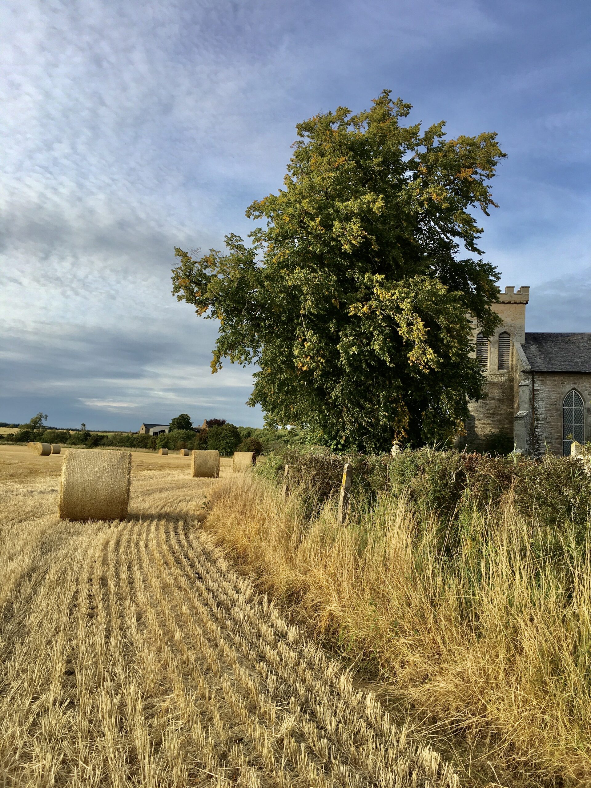 Harvest Festival and Lunch: Sunday 29th Sept, 2024