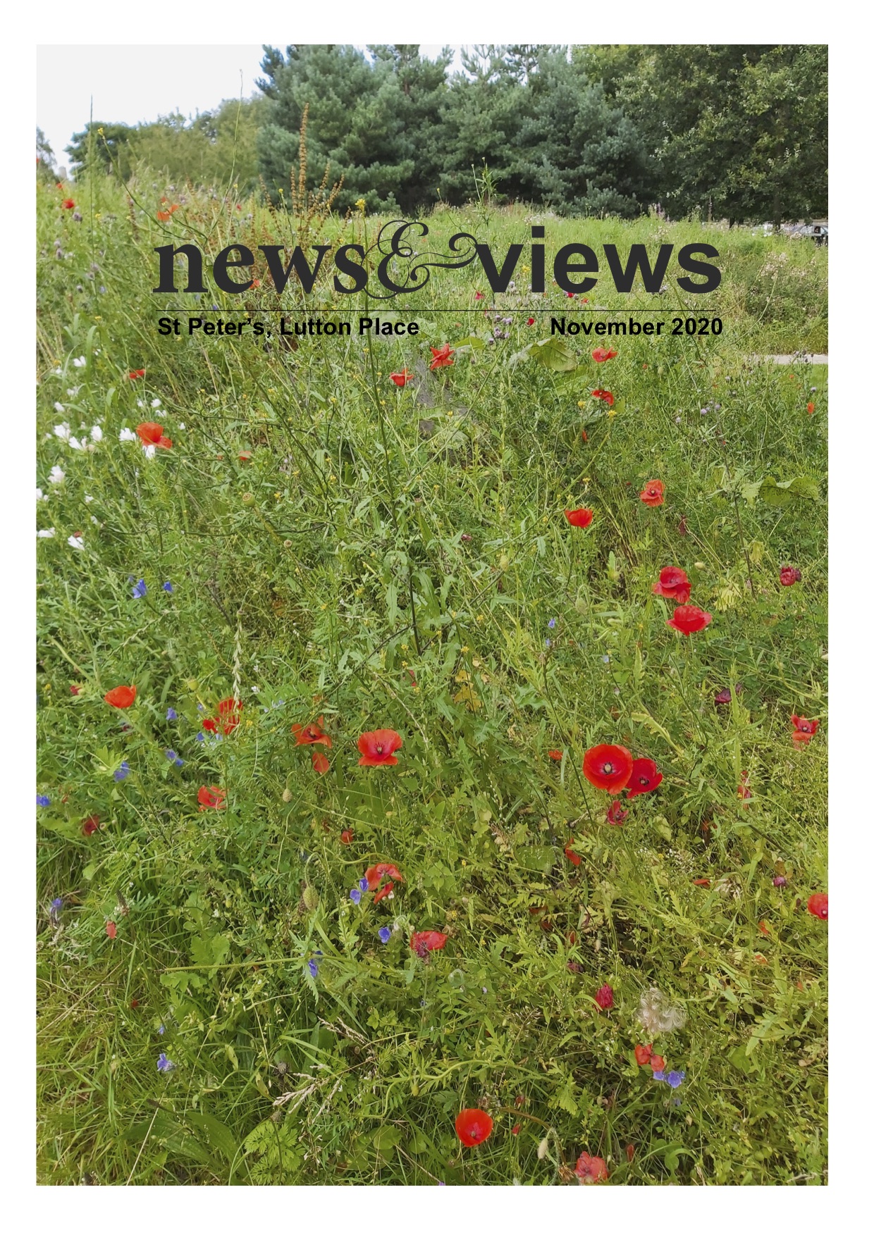 News & Views: November 2020