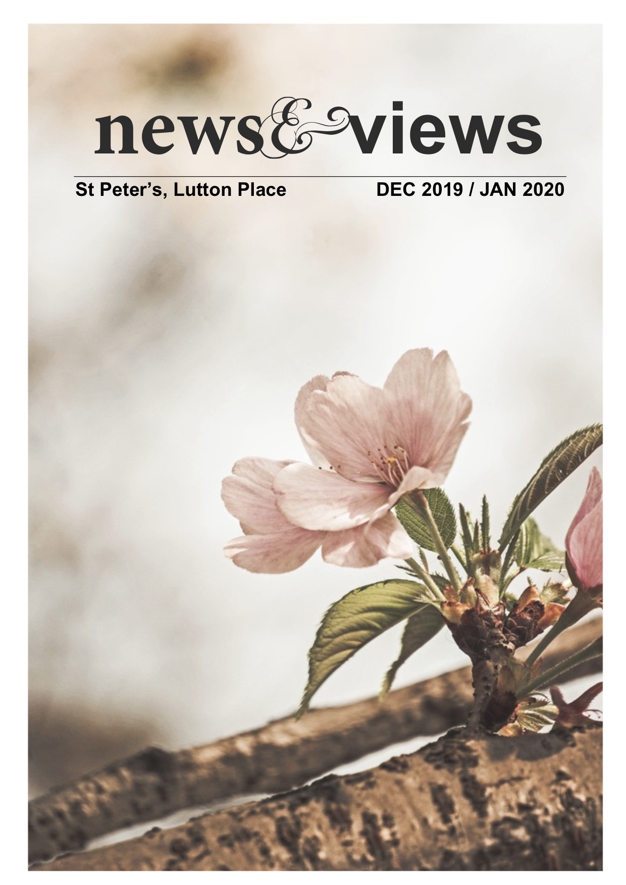 News & Views: December 2019 / January 2020