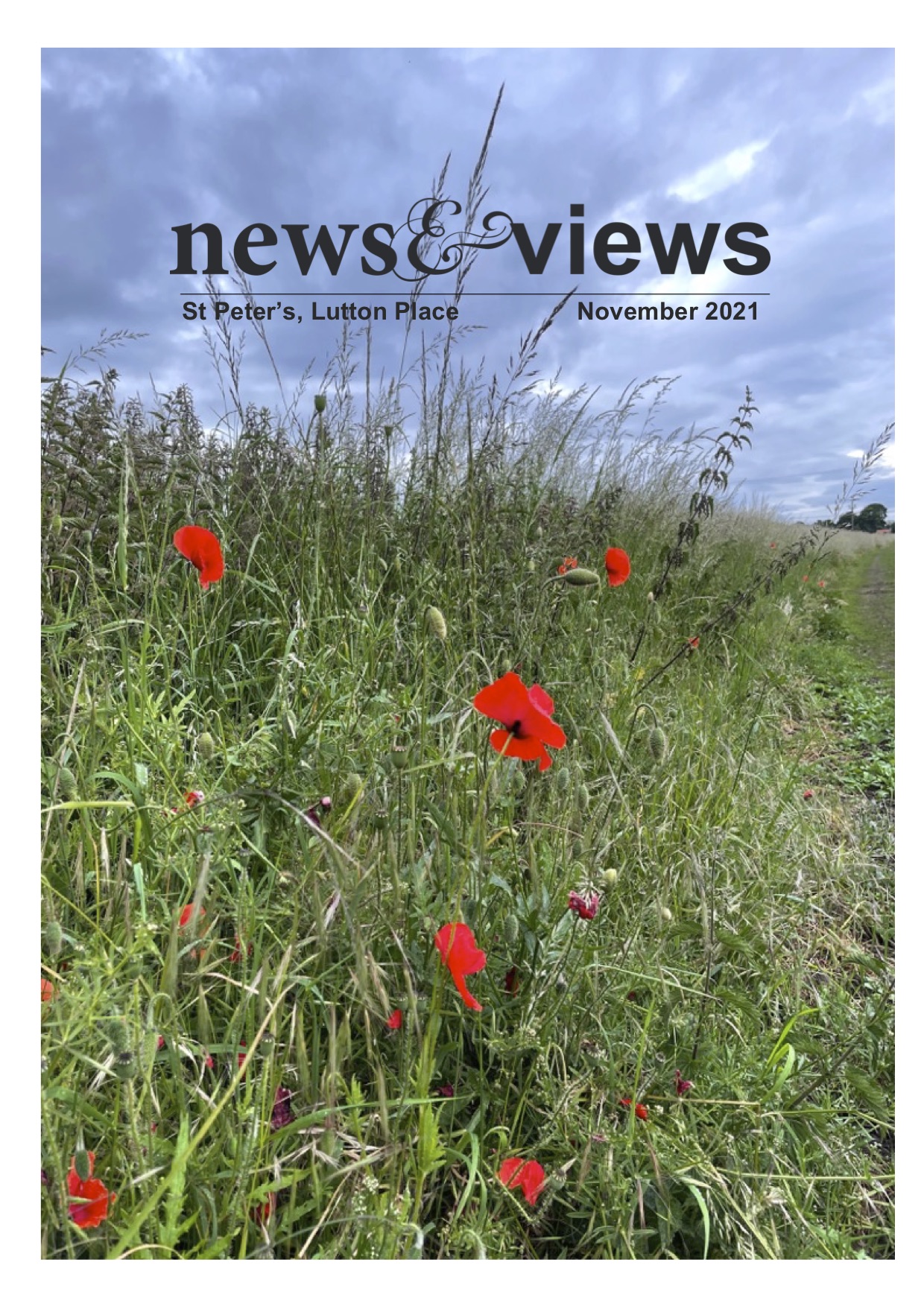 News & Views, November, 2021