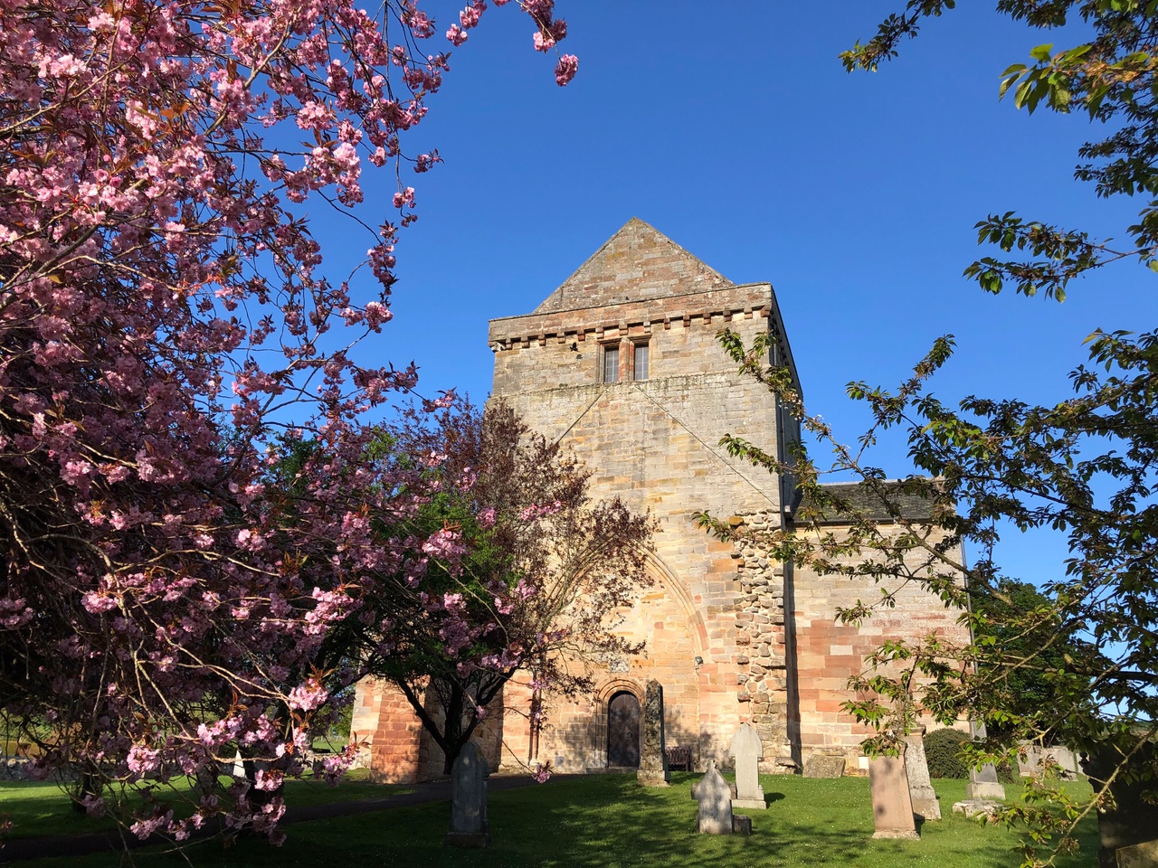 Ascension Day, Thursday 29th May, 8pm