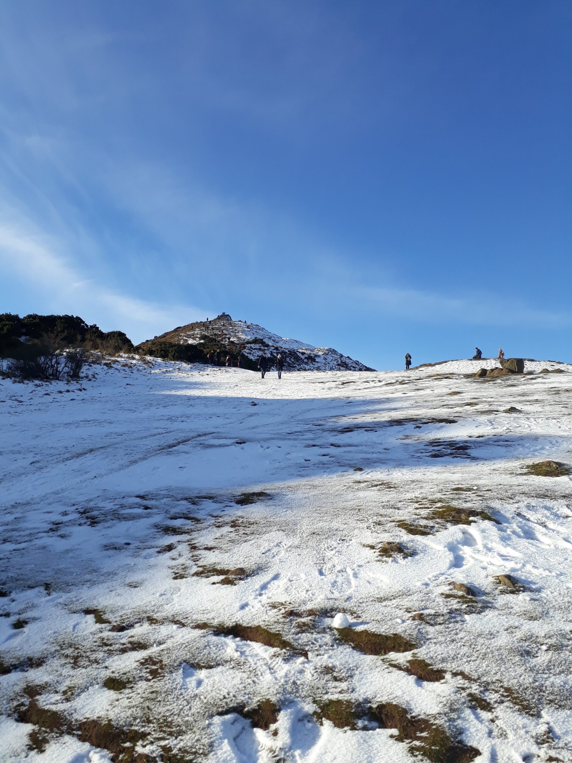 News & Views, December 2024 / January 2025