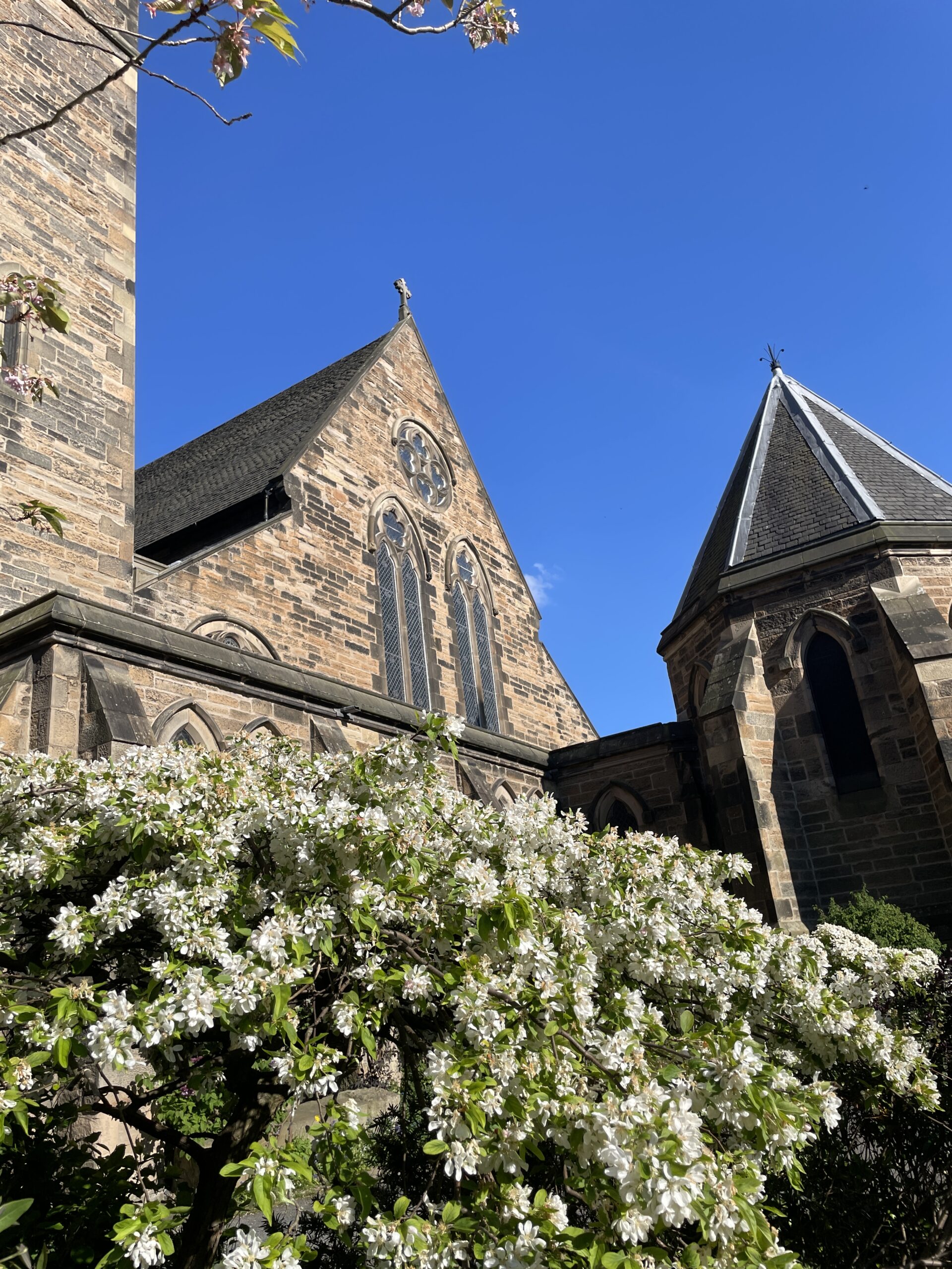 News & Views, May 2025